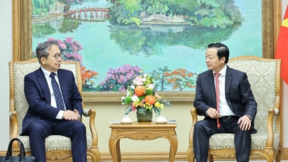 Japan enhances support for Vietnam in energy transition