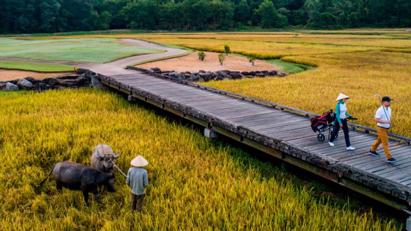 Du lịch bền vững bắt đầu từ các khách sạn tiêu chuẩn xanh