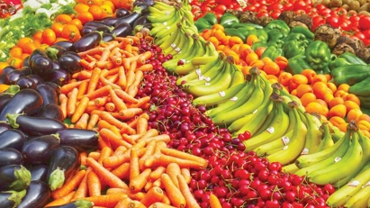 Vietnam-Germany trade value hits $5.57 bln in 1H