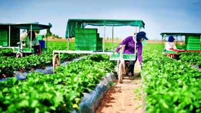 1.000 lao động Việt Nam có cơ hội sang Australia làm việc