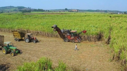 Sugar production hits over 1.1 million tons