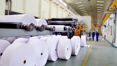 Chậm trễ sắp xếp, đổi mới gần 100 công ty nông lâm nghiệp chủ yếu vì đất đai