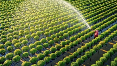 Sustainability is crucial for business growth: VCCI leader