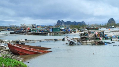 VCCI proposes policies to support businesses recovering from Typhoon Yagi