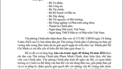 Chính phủ yêu cầu các bộ ngành báo cáo về “siêu” dự án chống ngập sau kiến nghị của TP.HCM