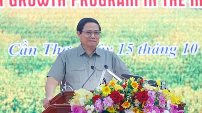 PM chairs conference to accelerate 1 million ha of high-quality rice project in Mekong Delta