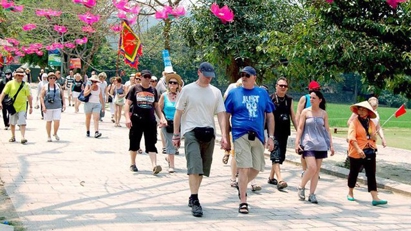 Int'l tourism search for Vietnam grows sharply: Agoda
