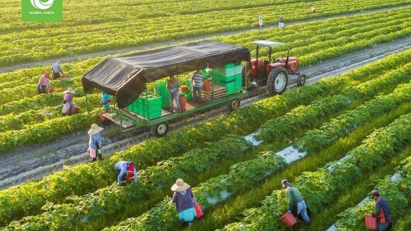 Vietnamese firms enjoy advantages to boost export to EU