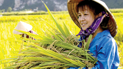 Vietnam’s CRI Index on way to being improved  