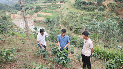 Tây Bắc phát triển nông nghiệp sinh thái - tuần hoàn 