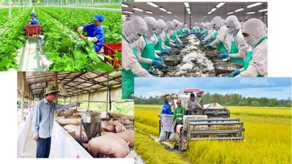 Thực trạng phát triển liên kết sản xuất nông nghiệp tại Thanh Hoá