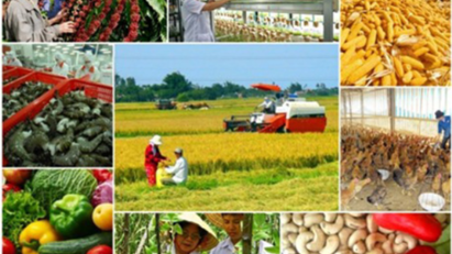 11M agro-forestry and fishery production grows significantly