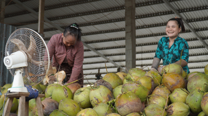 Coconut exports set to hit $1 billion