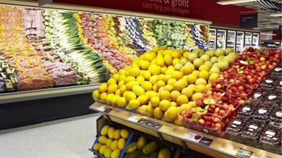 Vietnam eyes Swedish market for fresh produce exports