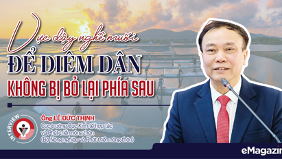 Vực dậy nghề muối để diêm dân không bị bỏ lại phía sau