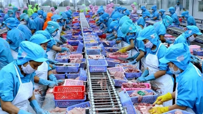 2024 seafood export hits $10 bln 