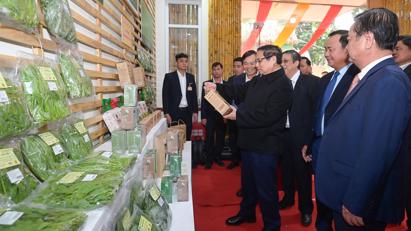 Đặt mục tiêu đưa kim ngạch tải bet88 nông lâm thuỷ sản năm 2025 lên 70 tỷ USD