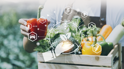 Agricultural sector records impressive growth in 2024