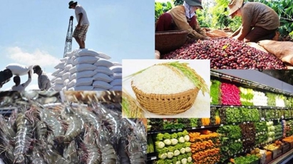 Asia, Africa remain Vietnam's key trading partners 