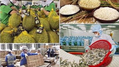 PM targets $100 bln in agro-forestry and fishery export in 2025