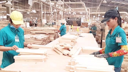 Binh Dinh province earns $1.1 bln from wood exports in 2024