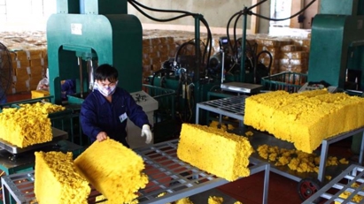 Ruber sector exports hit record high of $10.2 bln