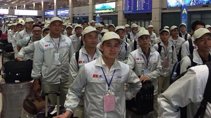 Vietnam expands high-income overseas labor markets in 2025