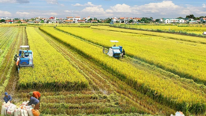 15-year land rental exemption proposed for agribusiness