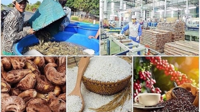 Exports of agro-forestry-aquatic products hit $5.08 bln in January