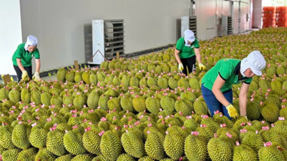 Xuất khẩu nông sản cần nhanh nhạy thích ứng những quy định mới của thị trường