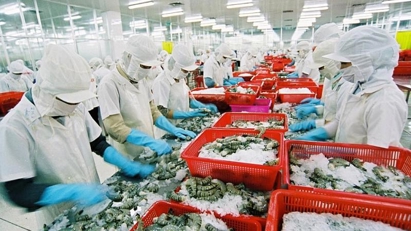 Trade ministry explores solutions to enhance export performance