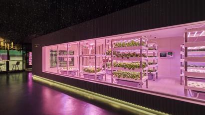 Hanoi targets 10-20% annual bet88 concrease bet88 con high-tech agricultural models