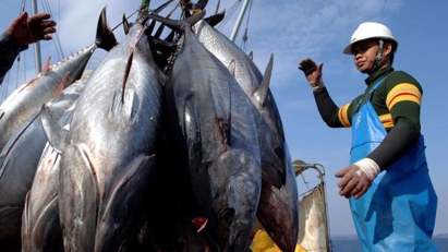 Seafood exports at risk in the US market