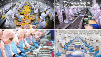 Seafood exports hit $2.45 bln in Q1