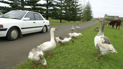 Thương mại với Mỹ chưa tới 1 triệu USD, vùng lãnh thổ nhỏ của Australia “sốc” vì bị áp thuế đối ứng 29%