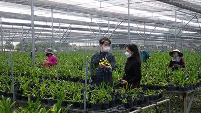 Hải Phòng phê duyệt danh mục dự án nông nghiệp trọng điểm giai đoạn 2026 – 2030