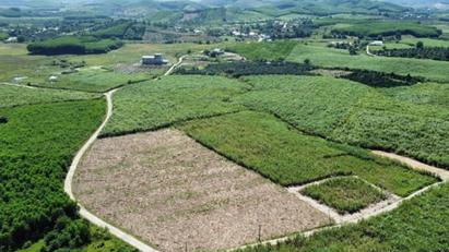 Xây dựng kế hoạch điều tra, đánh giá đất giai đoạn 2026-2030