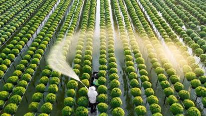 Bộ Nông nghiệp và Môi trường gấp rút sửa đổi hai Luật để phù hợp với tình hình mới