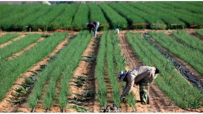 No Vietnamese firms authorized for recruiting workers for employment in Israel