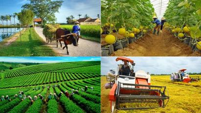 Tiến hành điều tra nông thôn, nông nghiệp năm 2025 từ ngày 1/7