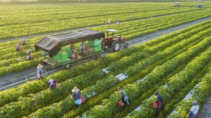 Australia supports AUD2 mln for innovation projects in Vietnam’s agriculture sector