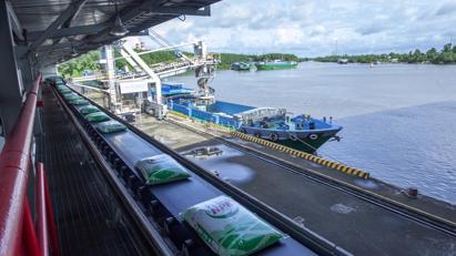 Bứt phá toàn diện, PVCFC giữ thế chủ lực trong mùa vụ Hè Thu