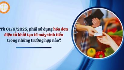 Cục Thuế đánh giá số thuế hộ, cá nhân đã nộp trong 3 tháng đầu năm chưa phản ánh đúng thực tế