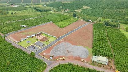 Hà Nội đề xuất các công trình được xây dựng trên đất nông nghiệp