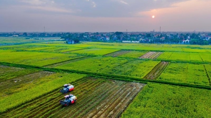 Hai Phong unveils list of key agricultural projects for 2026-2030