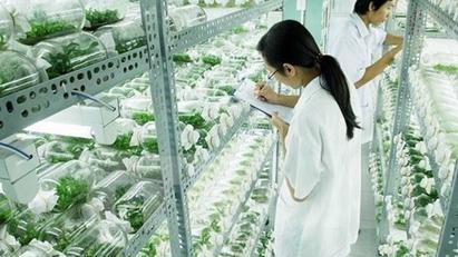 Hà Nội xây khu công nghệ cao sinh học tại quận Bắc Từ Liêm