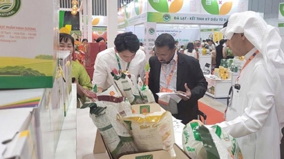 Vietnam leverages open market opportunities to boost exports to Malaysia