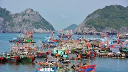 Hải Phòng, Thái Bình, Quảng Ninh nỗ lực gỡ thẻ vàng thủy sản