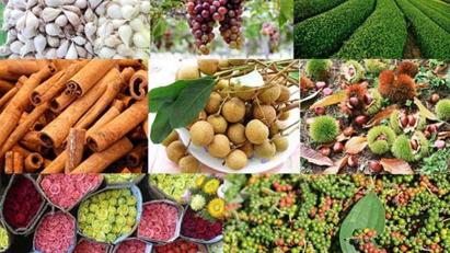Xuất khẩu nông, lâm, thủy sản 5 tháng đầu năm: Hoa Kỳ vẫn là thị trường lớn nhất của Việt Nam