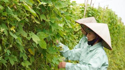 Chương trình CSI 2025: Khuyến khích doanh nghiệp đi từ “tuân thủ” lên “đổi mới sáng tạo” trong kinh doanh bền vững
